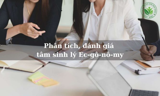 Phân tích đánh giá tâm sinh lý ecgonomy